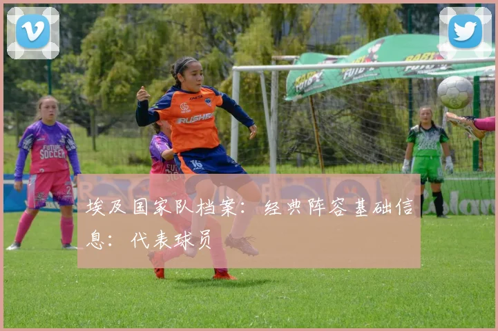 埃及国家队档案：经典阵容基础信息：代表球员