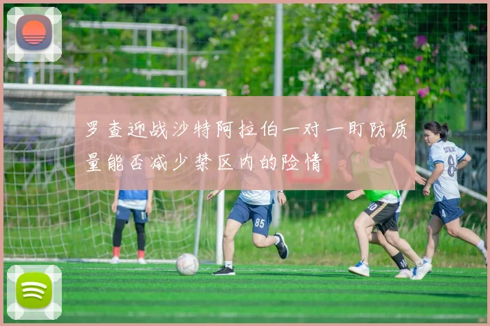 罗查迎战沙特阿拉伯一对一盯防质量能否减少禁区内的险情