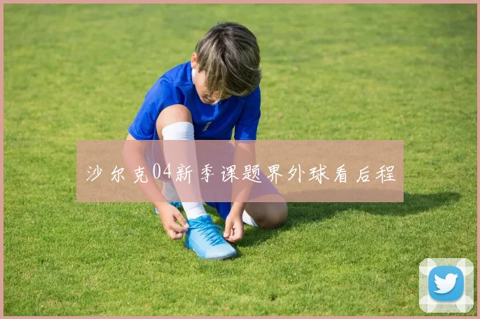 沙尔克04新季课题界外球看后程