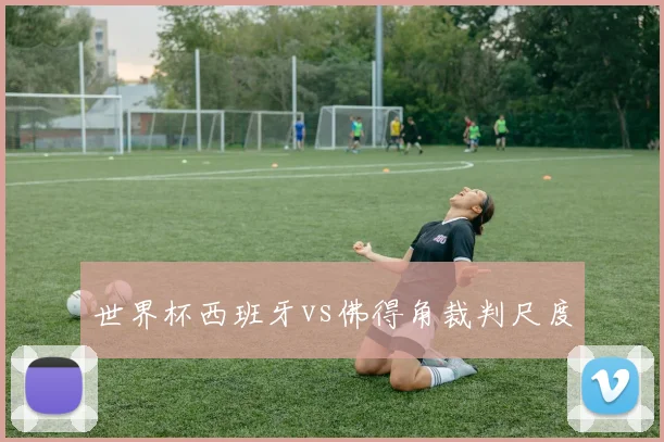 世界杯西班牙vs佛得角裁判尺度