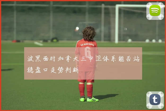 波黑面对加拿大三中卫体系能否站稳盘口走势判断