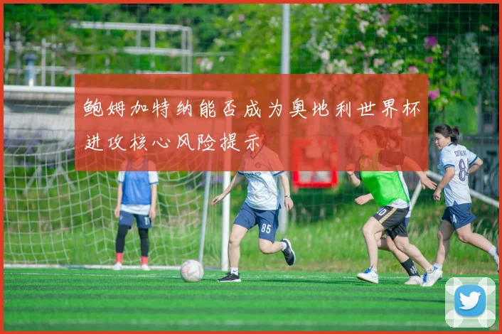 鲍姆加特纳能否成为奥地利世界杯进攻核心风险提示